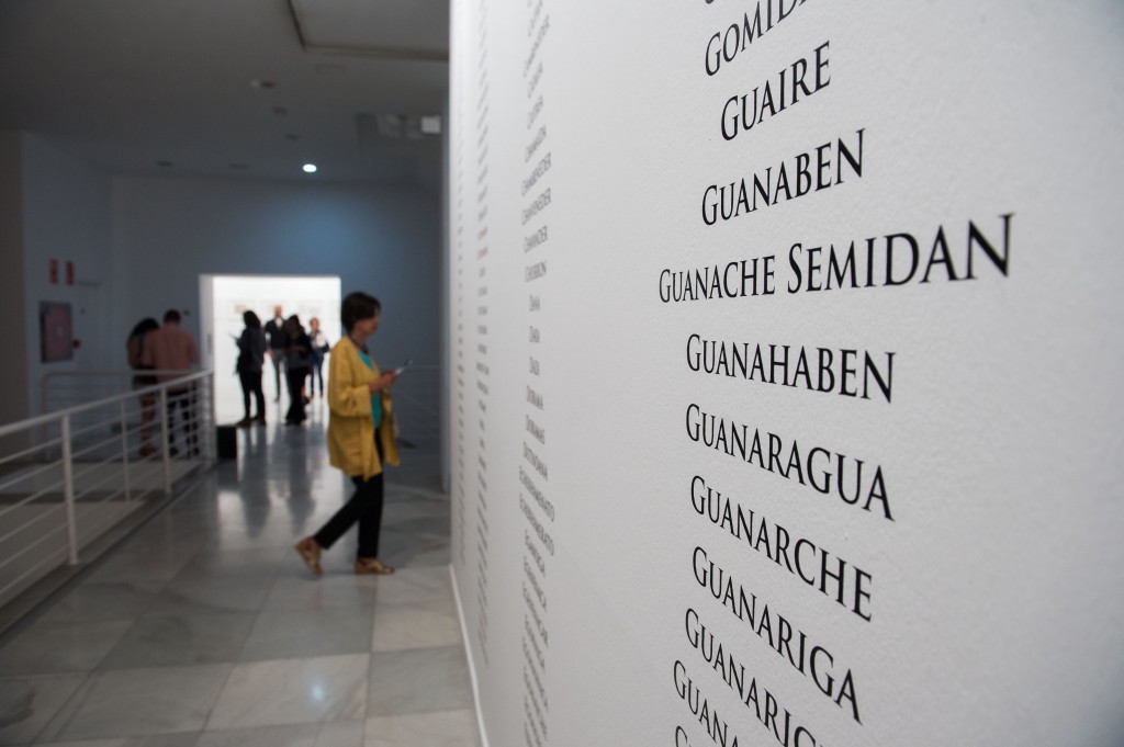 Rosângela Rennó '1150 reyes, jefes, sacerdotes, héroes, guerreros y esclavos, 2014' (2014)