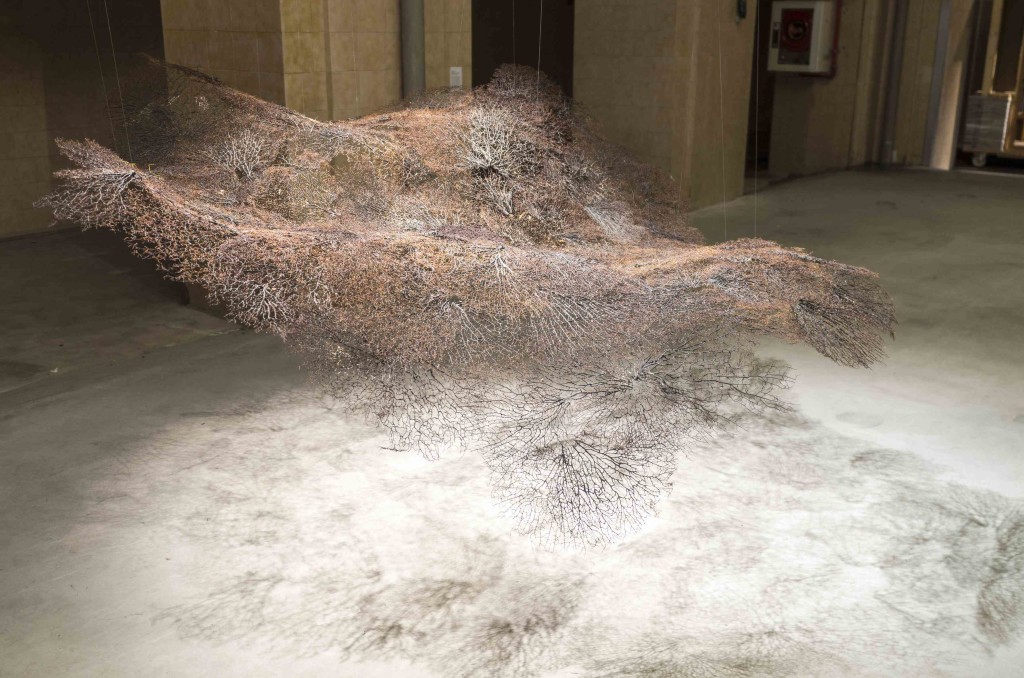 coral Oyendo con los ojos 053