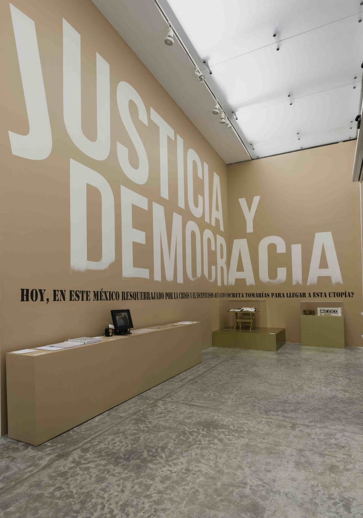 Foto 7. Pinto mi Raya, Justicia y Democracia, 1995-2016. Instalación medidas variables. Fotografía de Oliver Santana. Cortesía MUAC