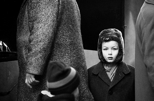 fundacio Setba 33317646584_48edab8151