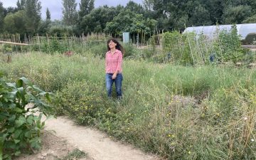 MANIFIESTO DEL ARTE EN BARBECHO