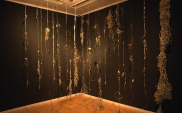 INperceptibles. FICIONES PLÁSTICAS Y ECOLOGÍAS POSTNATURALES DE BELÉN MILLÁN