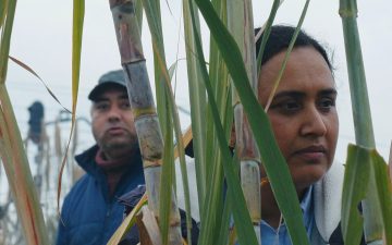 HISTORIAS DEL BUEN VALLE: LA RESISTENCIA Y LOS VALORES DE LA COMUNIDAD